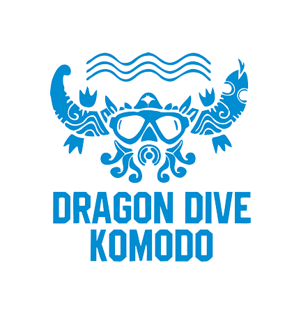 Dragon Dive Komodo