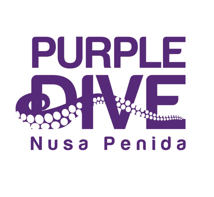 Purple Dive Penida